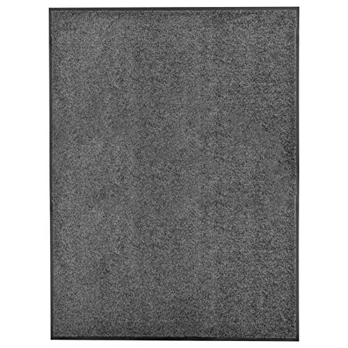 Tidyard Fußmatte Waschbar Sauberlaufmatte Fußabtreter Schmutzfangmatte Türmatte Anthrazit 120 x 90 cm 100% Polyamid von Tidyard
