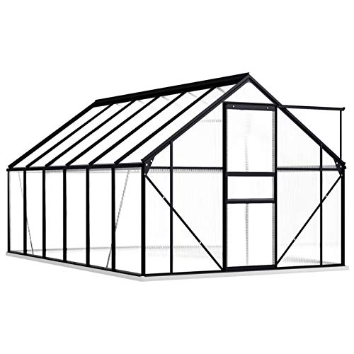 Tidyard Gewächshaus mit Fundamentrahmen Vielseitig nutzbar als Treibhaus, Tomatenhaus, Frühbeet und Pflanzenhaus 190 x 370 x 132/202 cm 4 mm Platten von Tidyard