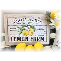 Sunny Acres Lemon Farm Gerahmtes Holzschild Für Abgestufte Tabletts Zitronendekor von TieredTrayTreasures