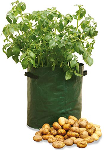 Haxnicks Kartoffel-Pflanzgefäße, wiederverwendbar, Kartoffel-Pflanzbeutel, einfaches Anbauen von Kartoffeln, verstärkte Griffe, Entwässerungslöcher, Kleiner Garten, 3 Stück, grün, 35 x 35 x 45 cm, von Tierra Garden