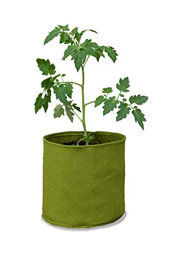 Tierra Garden Pflanzbeutel Haxnicks VIG080101 Vigo Pots, Grün, 18 x 18 x 20 cm, grün, 10 l von Haxnicks