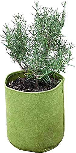 Tierra Garden Pflanzbeutel Haxnicks VIG080101 Vigo Pots, Grün, 18 x 18 x 20 cm von Bosmere