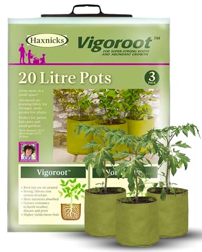 Pflanzbeutel Haxnicks VIG080101 Vigo Pots, Grün, 18 x 18 x 20 cm von Bosmere