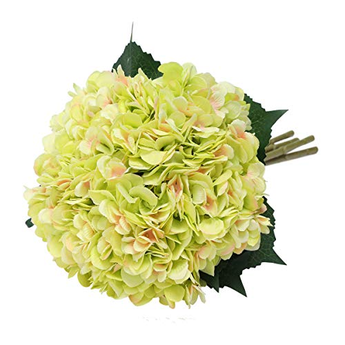 Tifuly künstliche Hortensie-Blume, 5 PCS realistische einzelne Lange Stamm-Silk Hydrangea-Blumensträuße für Hochzeit, Haus, Hotel, Parteidekoration, Blumengesteck (Grün) von Tifuly