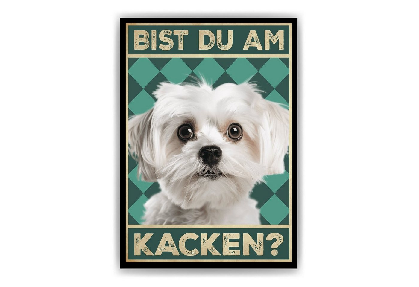 Tigerlino Poster Bist du am Kacken? Hunde Wandbild DIN A4 Gästebad Badezimmer Gäste-WC, Malteser von Tigerlino