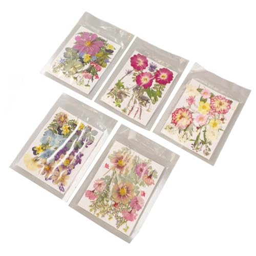 Bunt Getrocknete Blumen Varieté Pack für DIY -Projekte Premium Material Ideales für Freunde und Familie 5 Taschen Imitierten Getrockneten Blumen Imitiert (Typ 2) von Tihebeyan