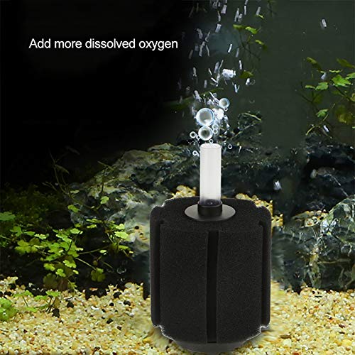 Tihebeyan 4PCS Langlebiger Aquariumschwammfilter Filteraufnahme für Fischtank Betta Aquarium, Verstärkt die Biologische Filtration aus Kunststoffmaterial (Farbe: Als Tihebeyan 4PCS Langlebiger Aquariumschwammfilter Filteraufnahme für Fischtank Betta Aquarium, Verstärkt die Biologische Filtration aus Kunststoffmaterial (Farbe: Als von Tihebeyan