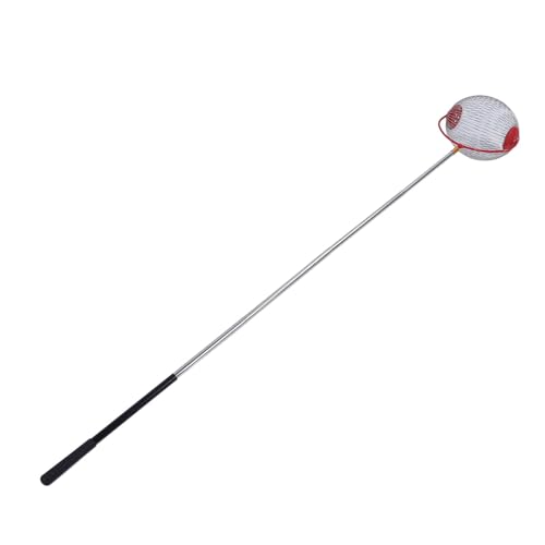 Tihebeyan Acorn Picker Upper, Nusssammler Oberer Acorn Collector Fruit Picker -Werkzeug mit Edelstahl für Äpfel Orangen Pekannüsse Kastanien (small) von Tihebeyan