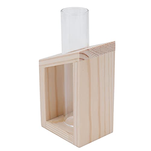 Tihebeyan Hydroponische Glasvase Elegante Desktop -Vase für Hausgartendekoration mit Holzständer von Tihebeyan