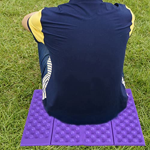 Tihebeyan Tragbare Faltplatten -Camping -Matte Im Freien, Leichtes Schaumkissen für Thermische Isolierungen, Perfekt Zum Wandern oder Picknicks (Lila + schwarz) von Tihebeyan
