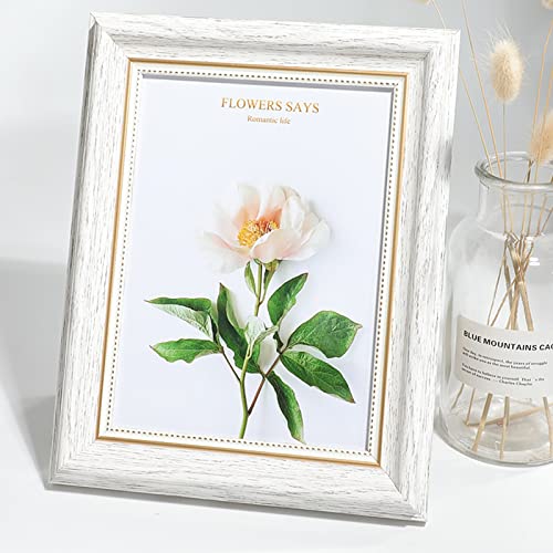 Tiiiopkvvv Photo e Basic Photo e Retro Small Photo e Desktop Decoration Office Picture e Decoration 5 Inch 6 Inch 7 Inch 8 Inch 10 Inch Pictures (Size : 10.2 cm x 15.2 cm) () von Tiiiopkvvv