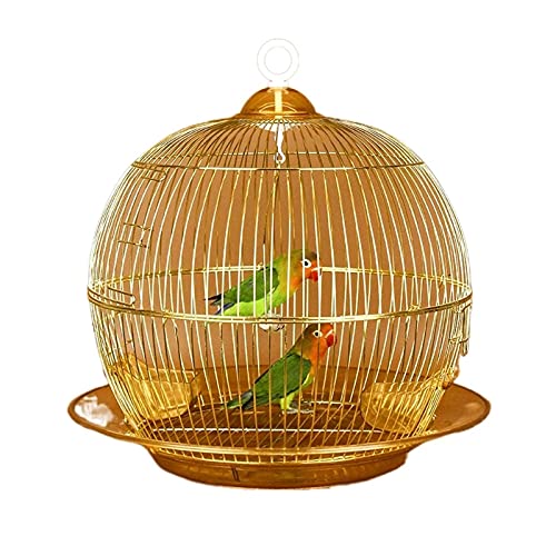 Tiiiopkvvv Vogelkäfig zum Aufhängen mit Futterstation Golden Metall Rund Vogelkäfig Haus Vogelträger für kleine Vögel Papageien Sittiche Vogelsitzstangen von Tiiiopkvvv