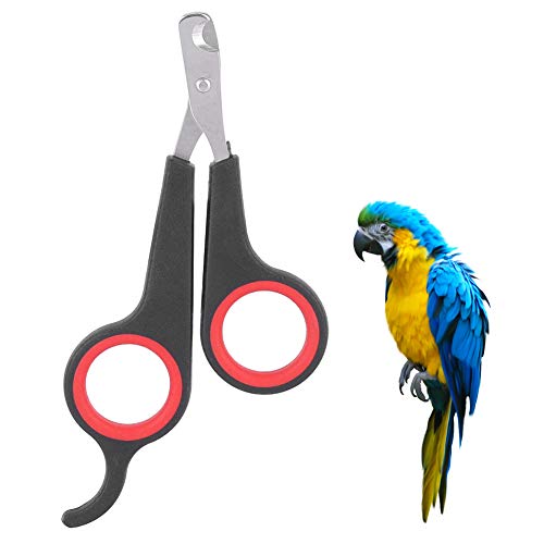 Vögel Krallenschere, Papagei Nagelknipser, Katzen Nagelschere Cat Nail Clippers Pet Profi Krallenschere Haustier Kleintiere Klauenschneider Katzennagelknipser Katzennagelschneider Meerschweinchen von Tiiyee