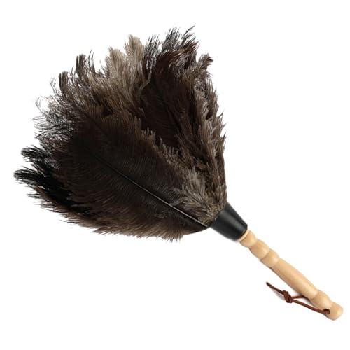 Staubwedel Straußenfedern, Natur Straußenfeder Staubwedel mit Holzgriff, 34 cm Staubwischer Staubfänger für Wohnzimmer, Zimmer, Bücherregal Staubwedel Straußenfedern, Natur Straußenfeder Staubwedel mit Holzgriff, 34 cm Staubwischer Staubfänger für Wohnzimmer, Zimmer, Bücherregal von Tikplus