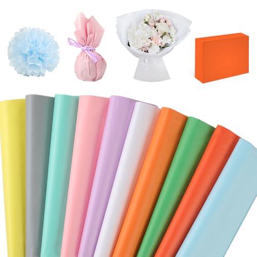 Tikplus Seidenpapier 100 Blatt,10 Farben Buntes Bastelpapier 50x35cm, Transparentpapier für Pompons,Papierblumen,Geschenkverpackung, Verpackt in Geschenktüten von Tikplus