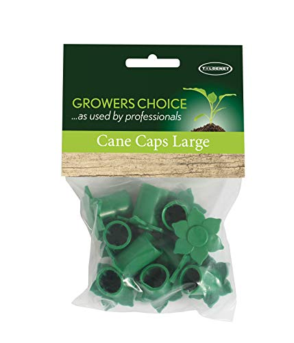 Tildenet Gehstock-Caps, groß Tildenet Gehstock-Caps, groß von Bosmere