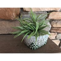 Honeydew Melon Pflanzer von TileTripper