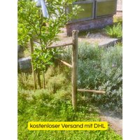 Massive Rankhilfe Aus Nachhaltigen Holz | Gemüse Beet Staudenhalter Pflanzstab Boho Deko Geschenk Garten Handgemacht in Bayern Fsc Massive Rankhilfe Aus Nachhaltigen Holz | Gemüse Beet Staudenhalter Pflanzstab Boho Deko Geschenk Garten Handgemacht in Bayern Fsc von TimTimeShop