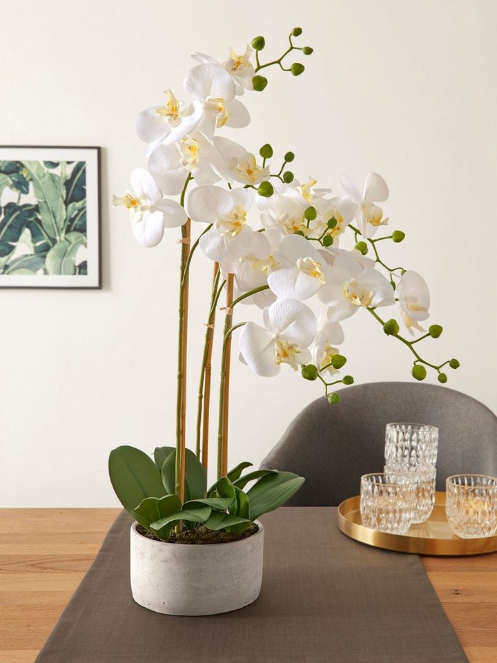 Kunstpflanze Lilington Orchidee, Timbers, Höhe 65 cm, im Zementtopf, Kunstorchidee von Timbers