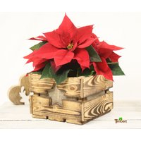 Vintage Blumenkiste Weihnachtsstern Weihnachtsgeschenk Rustikale Holzkiste Mit Stern Obstkiste Für Blumen Geschenkkorb Blumentopf Aus Holz von TimbertWoodDesign