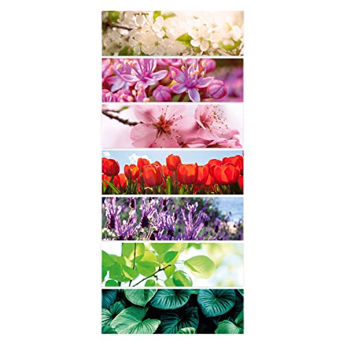 Timr Tischkalender Ersatzmagnete 7 Stück I Natur und Blumen I Geschenkidee I tr154 von Timr