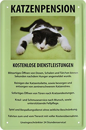Blechschild 20x30 cm Katzenpension Katzenfreunde Katze Regeln Service Tiere Witziger Spruch Fun Metall Schild von Tin Sign