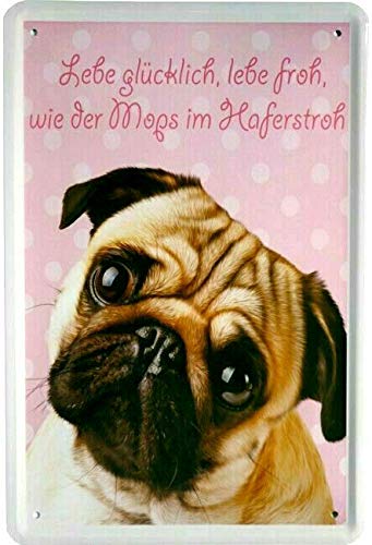 Tin Sign Blechschild 20x30 cm Lustiger Spruch Lebe glücklich lebe froh wie der Mops im Haferstroh Sprichwort Hund Haustier von Tin Sign