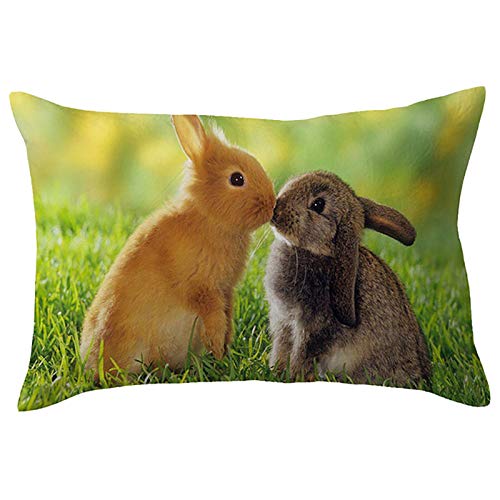 TinaDeer Kissenbezug Ostern 30x50cm Zierkissenbezüge Leinen Osterhase Ostereier Kopfkissenbezug Osterdeko Kissenhülle mit Reißverschluss Easter Pillowcase für Wohnzimmer Sofa Home (D, 30x50cm) von TinaDeer