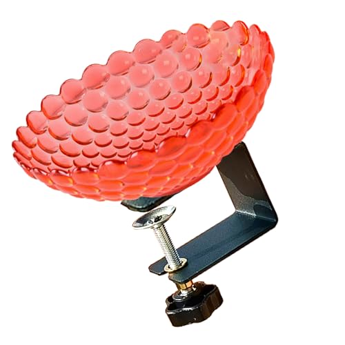 TingHaoO Tragbare Miniatur-Vogeltränke, Haltbarkeit, kleine Vogeltränke, Outdoor-Dekoration für den Außenbereich, Naturbereich, leicht zu reinigen, Garten, Vogeltränke von TingHaoO