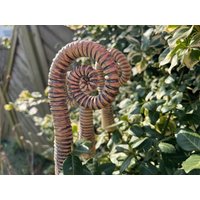 Ammonitenfarn, Bischofs-Ammonit, Gartenornament | Set 6 von TingelKeramik