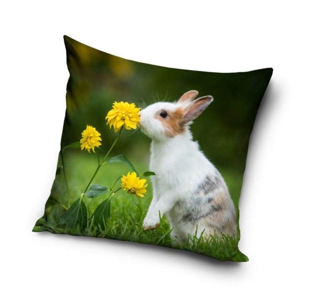 Tinisu Dekokissen Hase Kaninchen Kissenbezug: Kissen - 40cm x 40cm von Tinisu