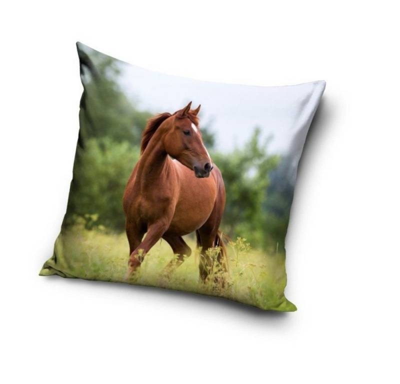 Tinisu Dekokissen Pony Pferd Kissenbezug: Kissen - 40cm x 40cm Tinisu Dekokissen Pony Pferd Kissenbezug: Kissen - 40cm x 40cm von Tinisu