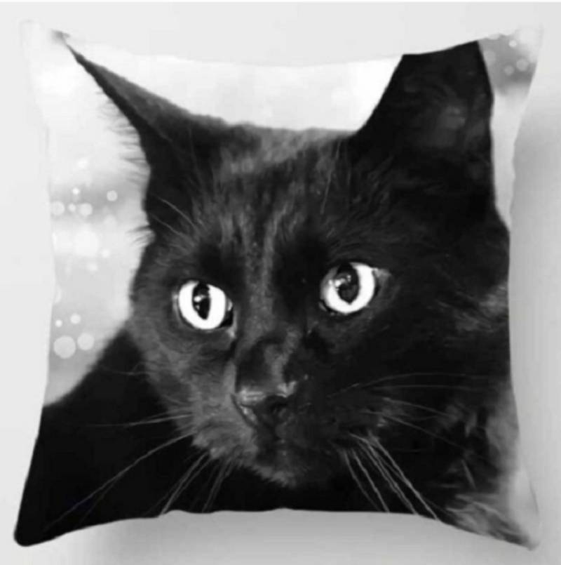 Tinisu Dekokissen Schwarze Katze - Tiere & Natur - Dekorativer Kissenbezug - 45cm x 45cm von Tinisu