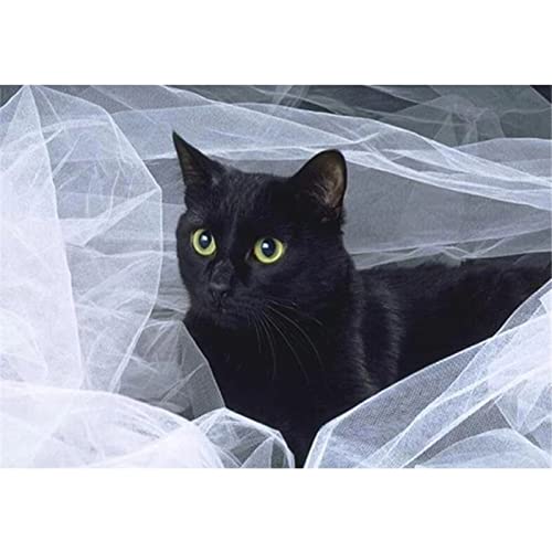 5D Diamond Painting, Hochzeit Schwarze Katze 20x30cm DIY 5D Diamant Painting Bilder Kinder Erwachsene groß, Diamond Painting Set Diamant Malerei Kits Mosaikherstellung für Home Wand Décor Geschenk von Tinnfea