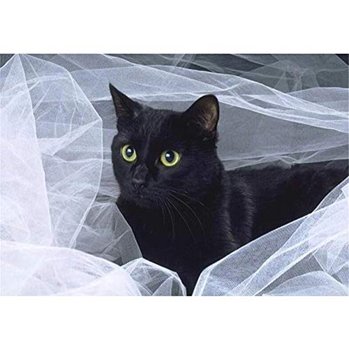 DIY 5D Diamant Malerei Vollbohrer Kit, Schwarze Katze 30x40cm Diamant DIY Malen nach Zahlen,DIY Diamond Painting Set Vollbohrer Crystal Strass Stickerei Kreuzstich Arts Craft für Home Wand Decor von Tinnfea