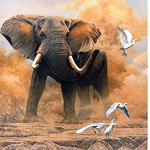 Tinnfea DIY 5D Diamant Malerei Kits, Elefant 30x30cm DIY Diamant Painting Bilder Set Groß Erwachsene Kind Stickerei Kreuzstich Mosaik Gemälde Wanddekor Kunsthandwerk Geschenk von Tinnfea