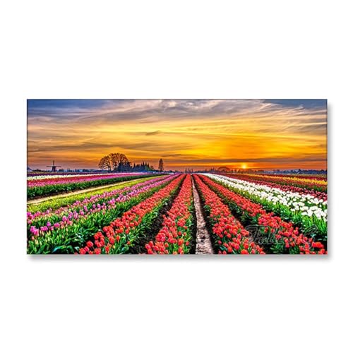 5D Diamond Painting Set 60x180cm Große Full Drill Malen Nach Zahlen Erwachsene Diamant Painting Bilder Sonnenuntergang Tulpe DIY Diamond Painting Kinder, für Wohnzimmer Büro Wand Dekoration L-12854 von Tinnoon