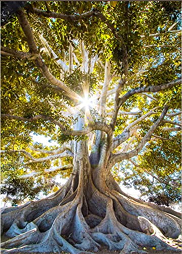 Diamond Painting Erwachsene, 5D Diamant Painting Leinwand Groß Full Bilder, Sonnenlicht Lebensbaum DIY Voll Set Diamant Malerei Kristall Kreuzstich Kunst Malerei Nach Anzahl Kits Mosaik Gemälde Deko Diamond Painting Erwachsene, 5D Diamant Painting Leinwand Groß Full Bilder, Sonnenlicht Lebensbaum DIY Voll Set Diamant Malerei Kristall Kreuzstich Kunst Malerei Nach Anzahl Kits Mosaik Gemälde Deko von Tinnoon