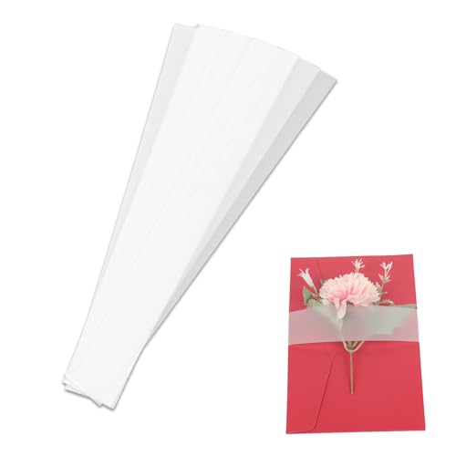 100stk Bandes Ventrales d'Invitation, Transparente Sulfatpapierbänder für Umschläge und Karten Geeignet zum Verpacken Von Geschenken für Hochzeitseinladungen IM Format 2,7x17,78cm und 10,16x15,24cm von Tinoaly