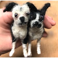 Tierportrait | Mehrere Boston Terrier von TinyPetsandPeople