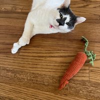 Handgemachtes Karotten Katzenspielzeug von TinyToastedGhost