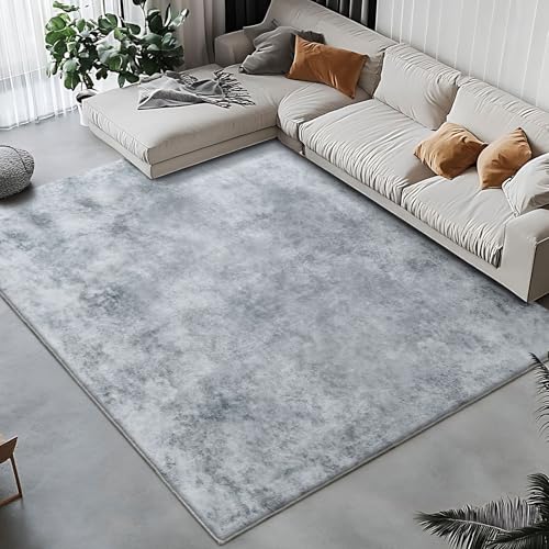 Tinyboy-hbq Teppich Wohnzimmer Kurzflor,Passend für Outdoor,Schlafzimmer und Balkon,Waschbarer Wetterfest Antirutsch,Abstrakt Grau Weiß/Multi,200x250cm von Tinyboy-hbq