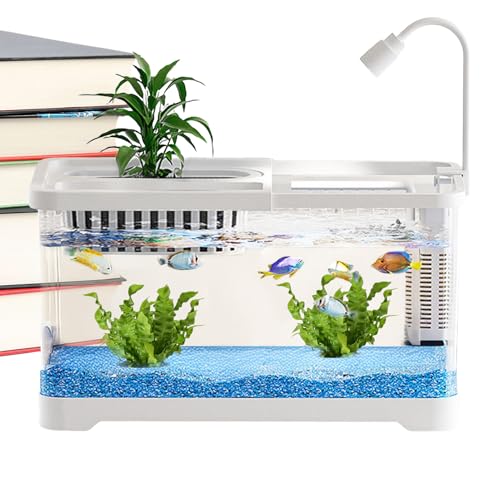Aquarium - Kleines Bettafisch Aquarium Mit Filter - Einfache Reinigung Dekoratives Heimdekor Für Zuhause Büro Wohnheim Schreibtisch Haustierliebhaber von Tioheam