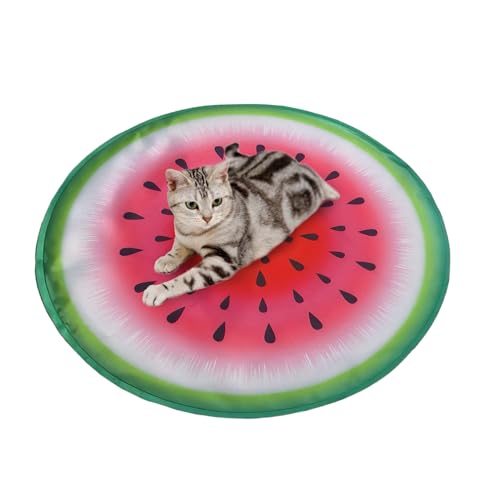 Kühle Haustier Unterlage, Belüftete Kühlmatte Für Haustiere, Bequem & Wiederverwendbar Für Reisen Und Zuhause Bei Warmen Temperaturen Für Kleine Tiere Kühle Haustier Unterlage, Belüftete Kühlmatte Für Haustiere, Bequem & Wiederverwendbar Für Reisen Und Zuhause Bei Warmen Temperaturen Für Kleine Tiere von Tioheam