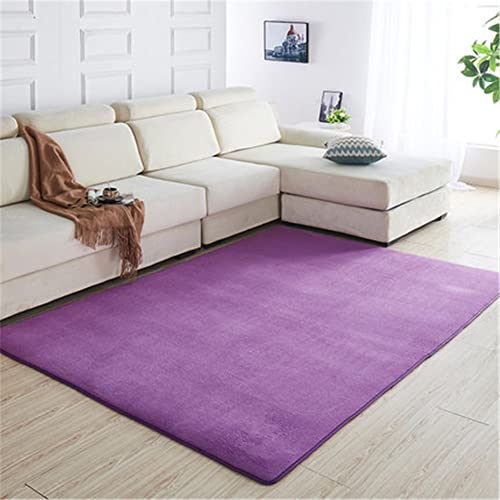 Teppich Wohnzimmer Extra Weicher Kurzflor Pflegeleicht Rugs Lila-3 Teppiche groß Waschbarer Anti-Rutsch für Wohnzimmer Schlafzimmer Kinderzimmer Wohnkultur (100x160cm) von Tiojion