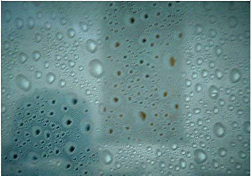 TipTopCarbon 6,57€/m² Fenster Sichtschutzfolie Milchglasfolie Rain Design 152cm Breite Fensterfolie Design Dekofolie Folie Selbstklebend TipTopCarbon 6,57€/m² Fenster Sichtschutzfolie Milchglasfolie Rain Design 152cm Breite Fensterfolie Design Dekofolie Folie Selbstklebend von TipTopCarbon