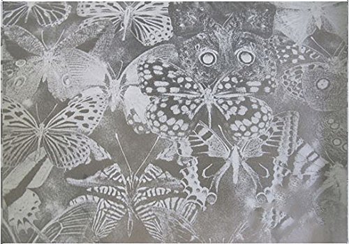 TipTopCarbon 6,57€/m² Fenster Sichtschutzfolie Milchglasfolie Butterfly 152cm Breite Fensterfolie Design Dekofolie Folie Selbstklebend TipTopCarbon 6,57€/m² Fenster Sichtschutzfolie Milchglasfolie Butterfly 152cm Breite Fensterfolie Design Dekofolie Folie Selbstklebend von TipTopCarbon