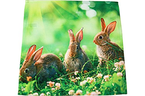 Tischdecken OSTERN 3 Hasen Wiese grün braun Fotodruck modern Polyester Osterdecke Ostertischdecke (Deckchen 40x40 cm) von Tischdecken OSTERN
