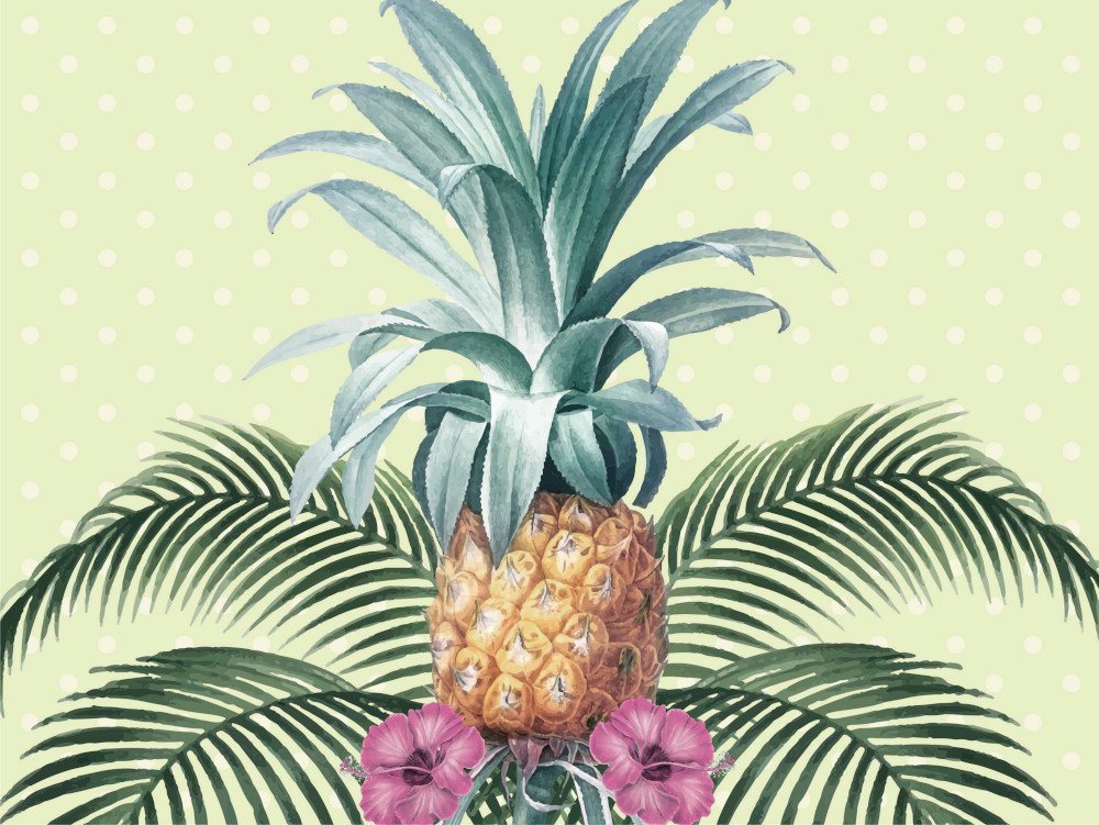 Platzset, Tischset, Platzset abwaschbar - Ananas mit Palmenblätter - 4 Stück aus erstklassigem Vinyl (Kunststoff) 40 x 30 cm, Tischsetmacher, (4-St) von Tischsetmacher