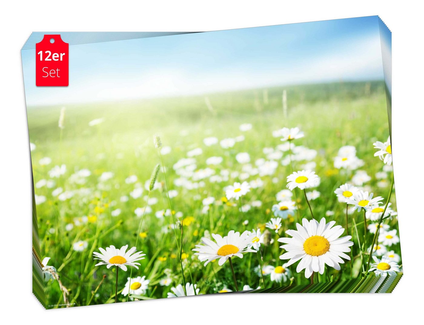Tischsetmacher Platzset Tischset Frühling, Ostern & Blumen - Wiese mit Gänseblümchen, (aus Naturpapier in Aufbewahrungsmappe, 12-St., 44 x 32 cm / weiß-grün), Made in Germany von Tischsetmacher